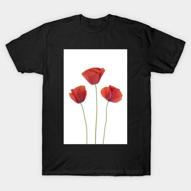 Three poppies T-Shirt by homydesign